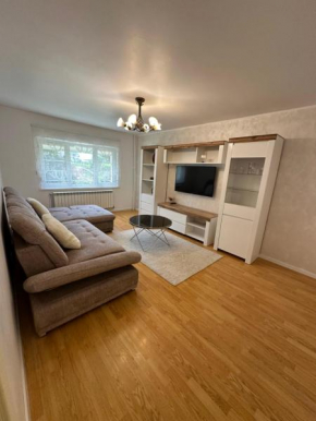 Apartament Confort Obcini